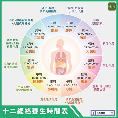 十二經絡養生時間表 我想和你做愛做的事